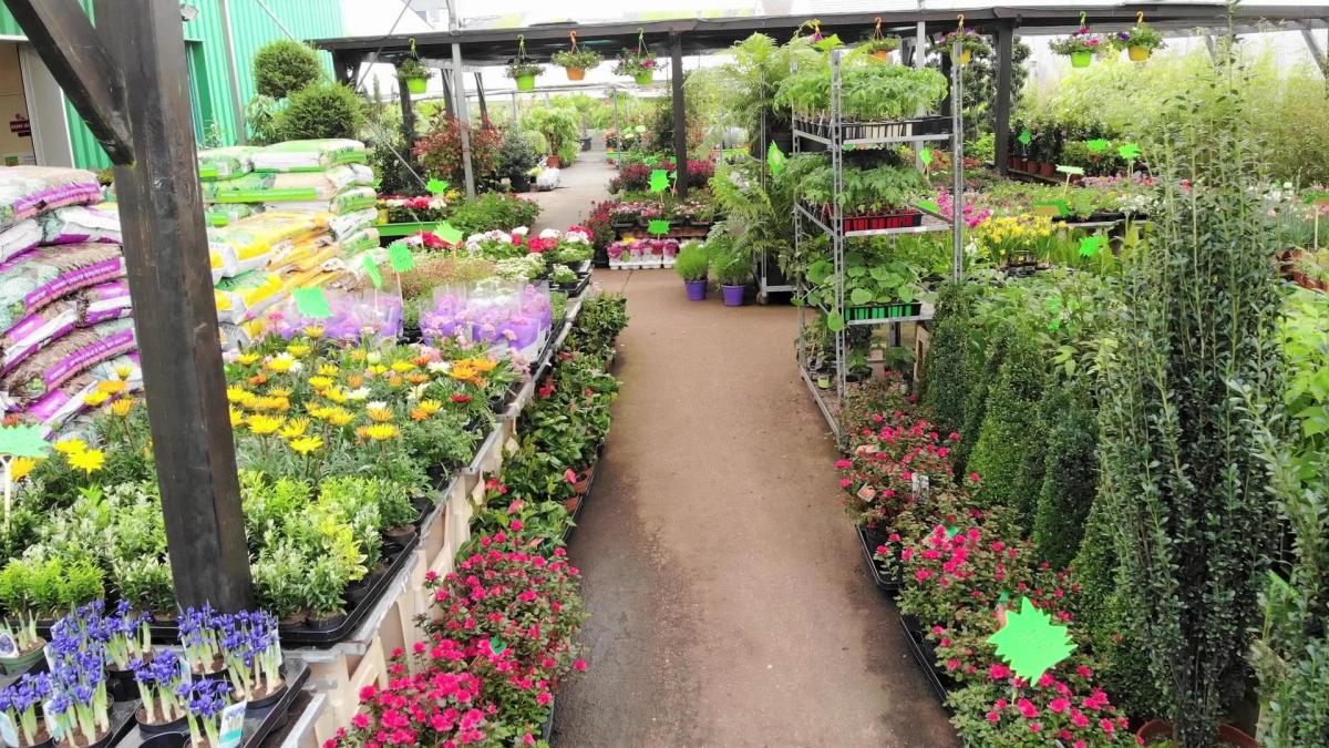 Vue intérieure d'une jardinerie à Ifs - Nettoyage professionnel et ...
